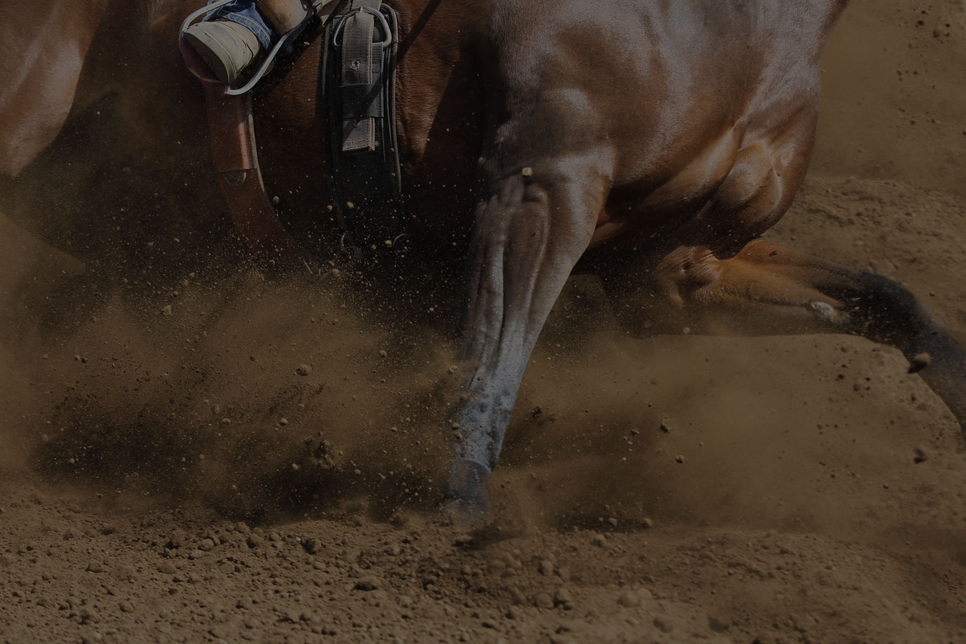 A close up view of a horse running.