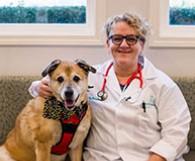 Dr. Rebecca Whisnant